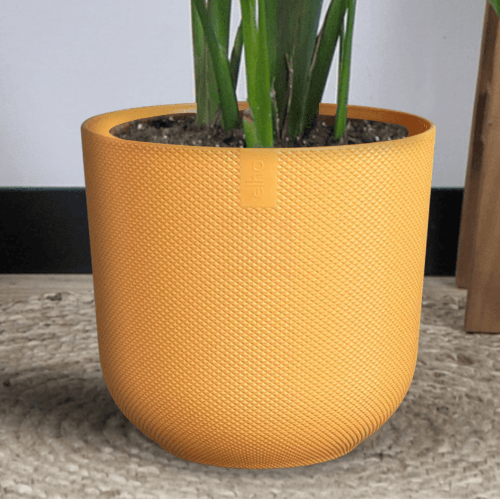 Combi deal - Kentia palm inclusief elho Jazz Round (160 cm - Ø26) Plant Greenify
