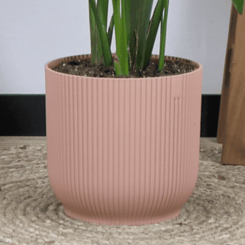 Combi deal - Kentia palm inclusief elho Vibes Fold Round (180 cm - Ø30) Plant Greenify
