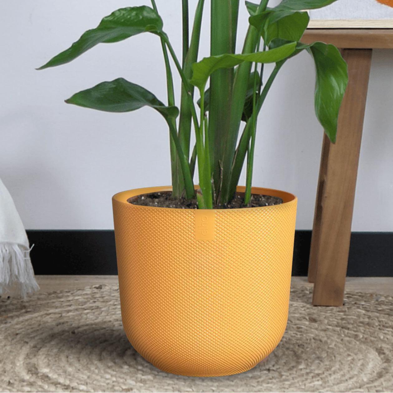 Combi deal - Monstera Pertusum XL inclusief elho Jazz Round rood (150 cm - Ø26) Plant Greenify