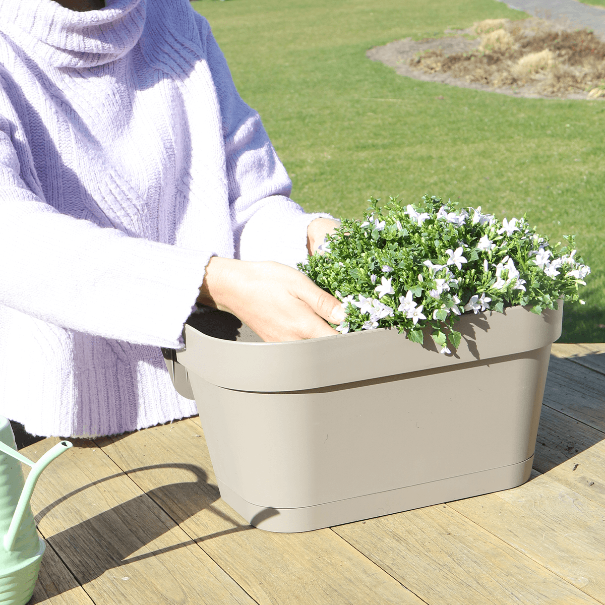 Campanula Addenda Ambella Wit - Balkonbak taupe 36 cm Plant Greenify