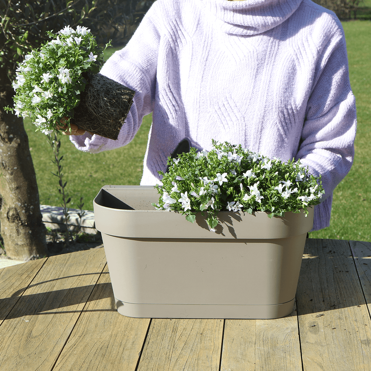 Campanula Addenda Ambella Intense purple - Balkonbak wit 36 cm Plant Greenify