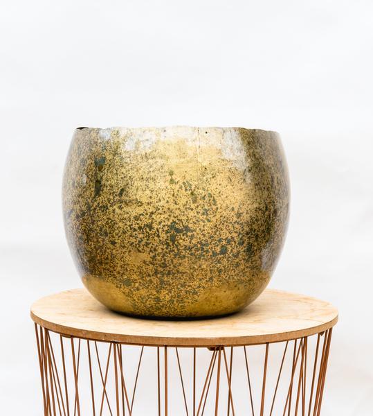 Ellen Brass - 25x19 Plant Greenify