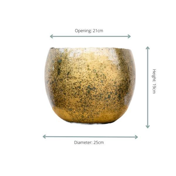 Ellen Brass - 25x19 Plant Greenify
