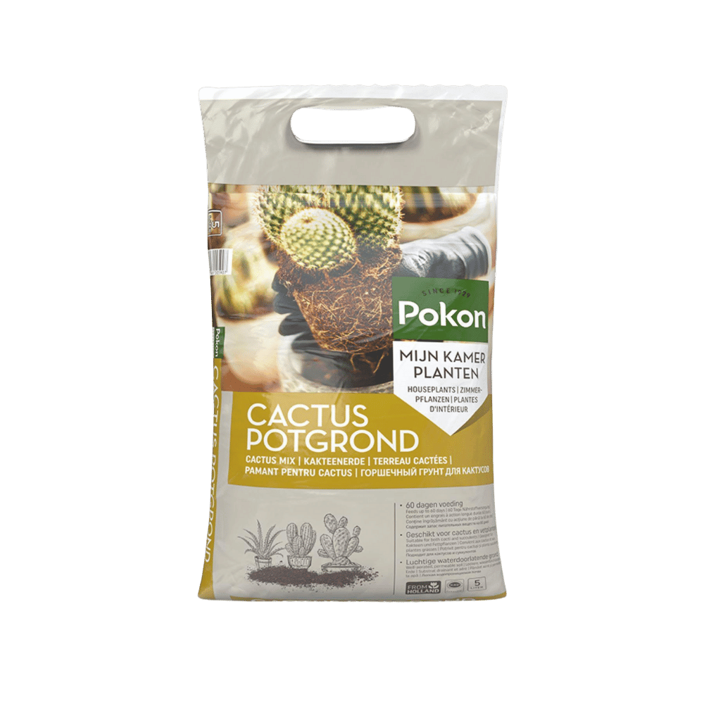 Pokon cactus & vetplant - Potgrond - 5L Plant Greenify