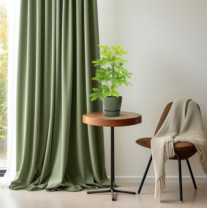 Schefflera Nora (45cm - Ø13cm)
