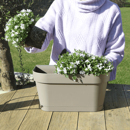 Campanula Addenda Ambella Intense purple - Balkonbak wit 36 cm Plant Greenify