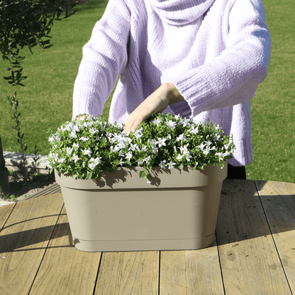 Campanula Addenda Ambella Intense purple - Balkonbak wit 36 cm Plant Greenify
