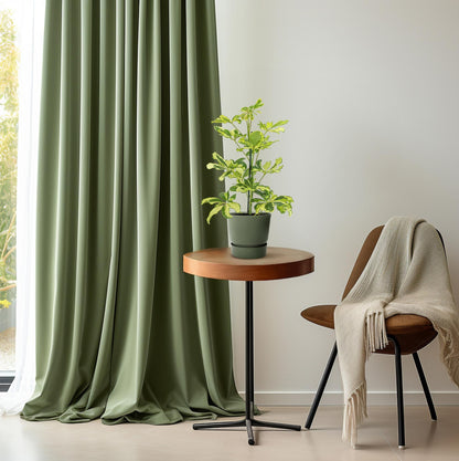 Schefflera Charlotte (45cm - Ø13cm)