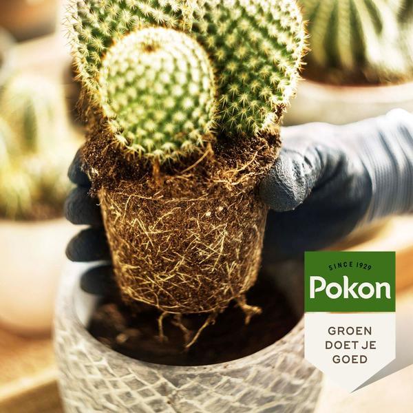 Pokon cactus & vetplant - Potgrond - 5L Plant Greenify